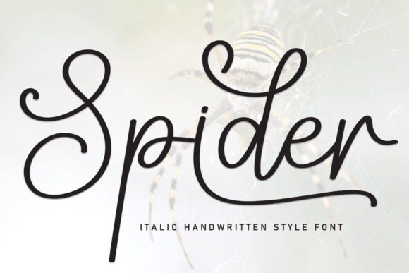 How a Handwritten Font Transformed My Small Business Brand
