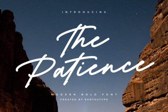 The Patience: A Modern Typeface for Elegant Web Design